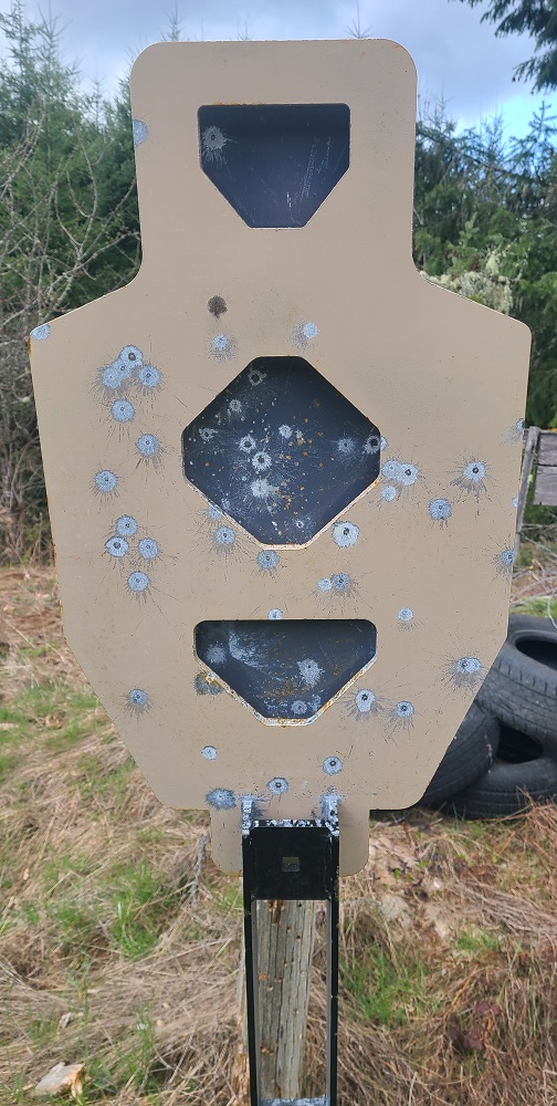 12 Shooting Targets USA