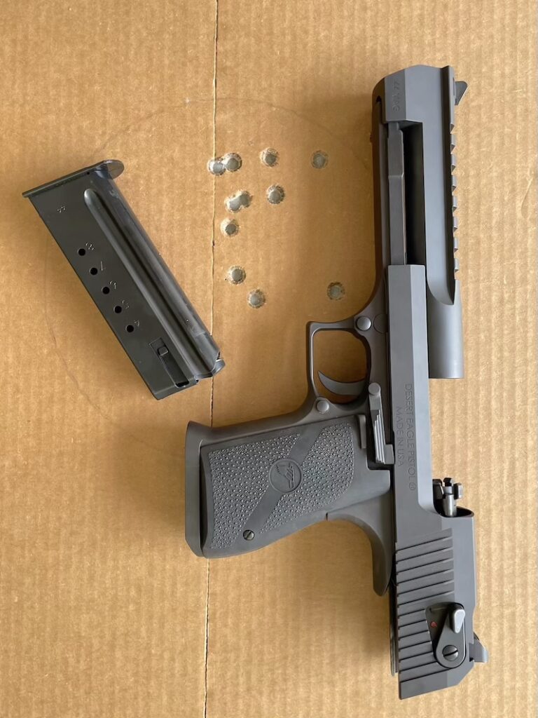 desert-eagle-img_6223-1-768x1024-1 target with desert eagle