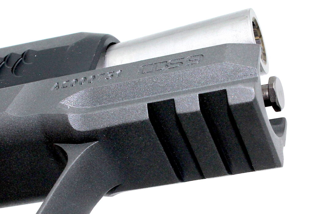 img_0030-1024x698-1 Kimber-CDS9-rail